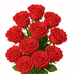 11 роз