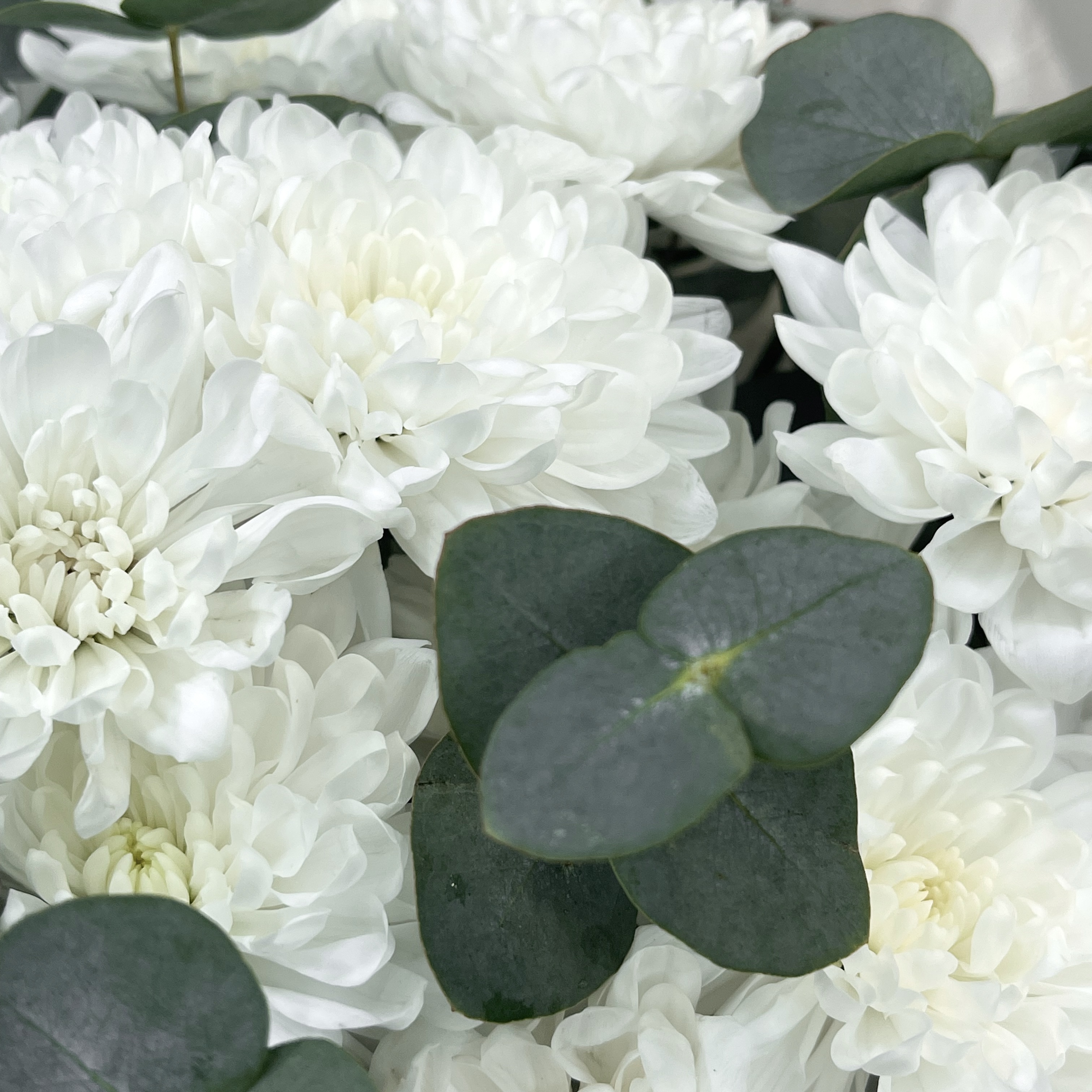 Букет Лунный свет