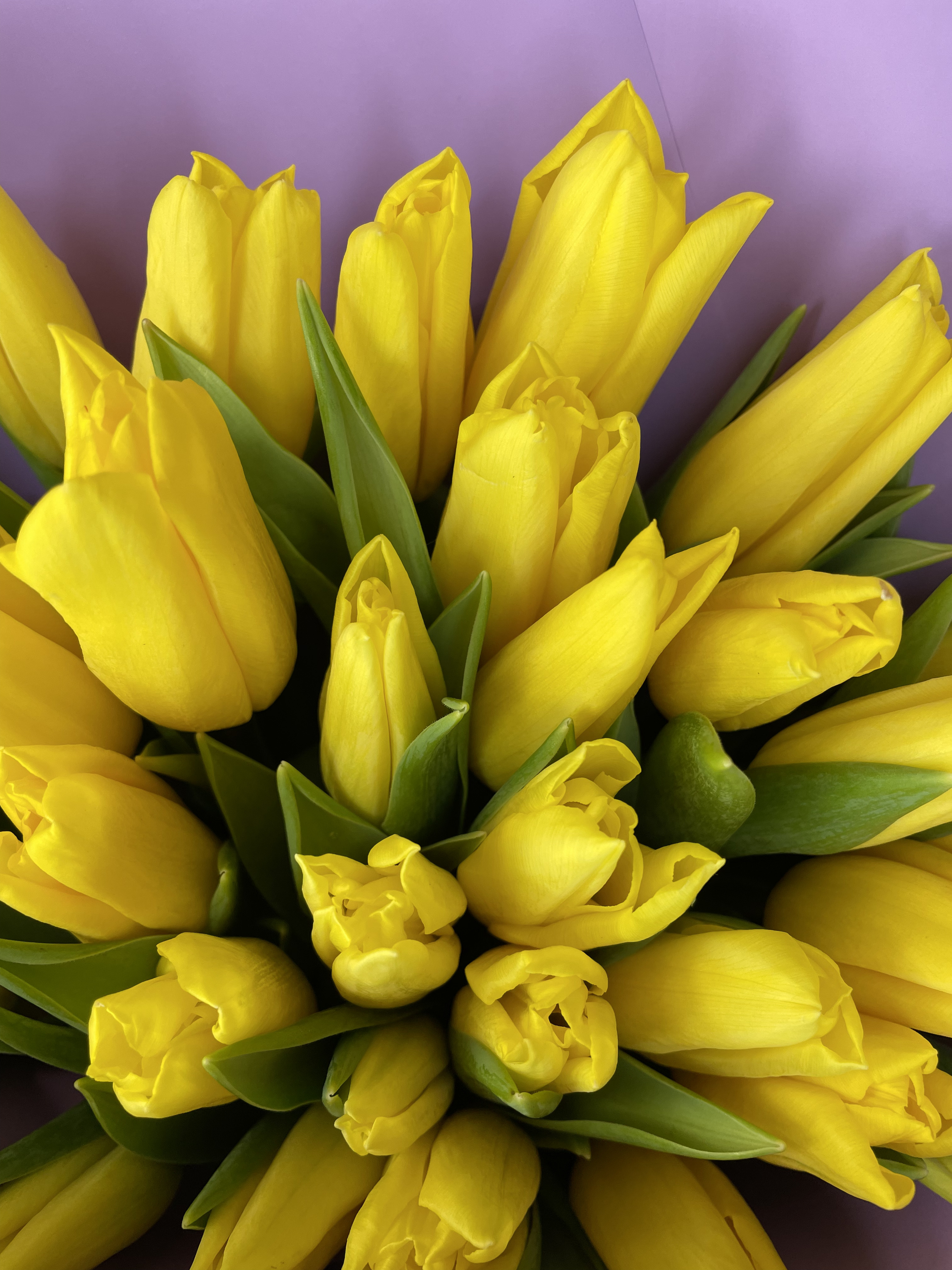 Букет Монобукет из желтых тюльпанов М