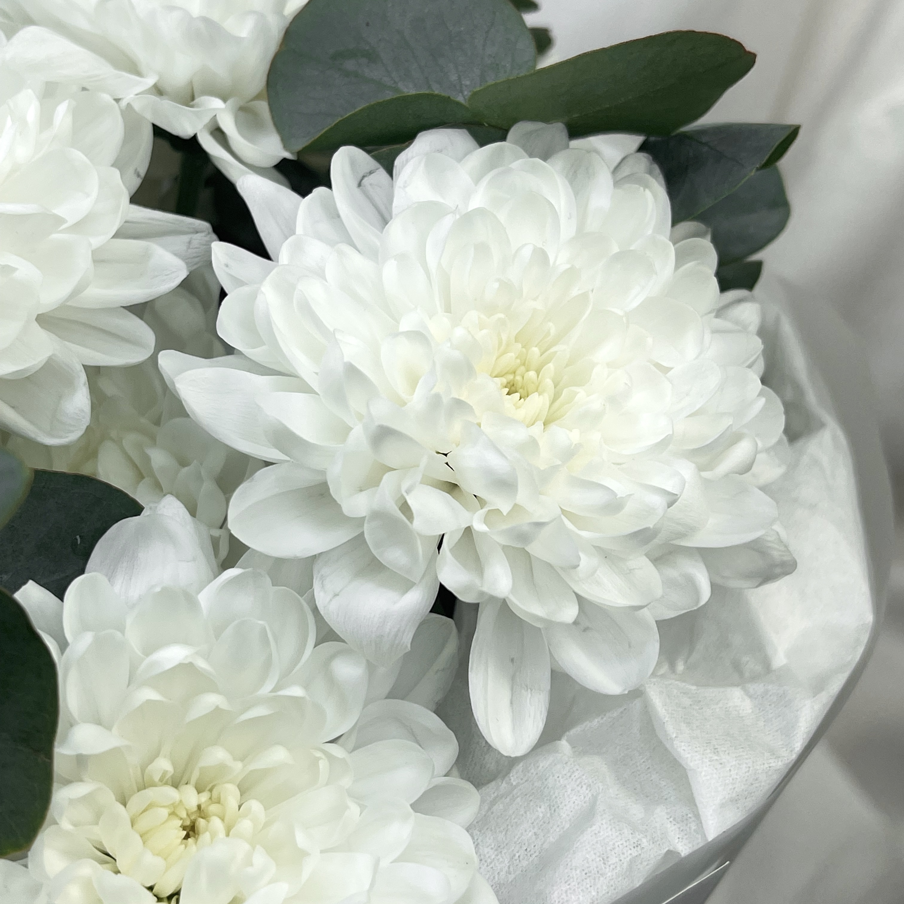 Букет Лунный свет