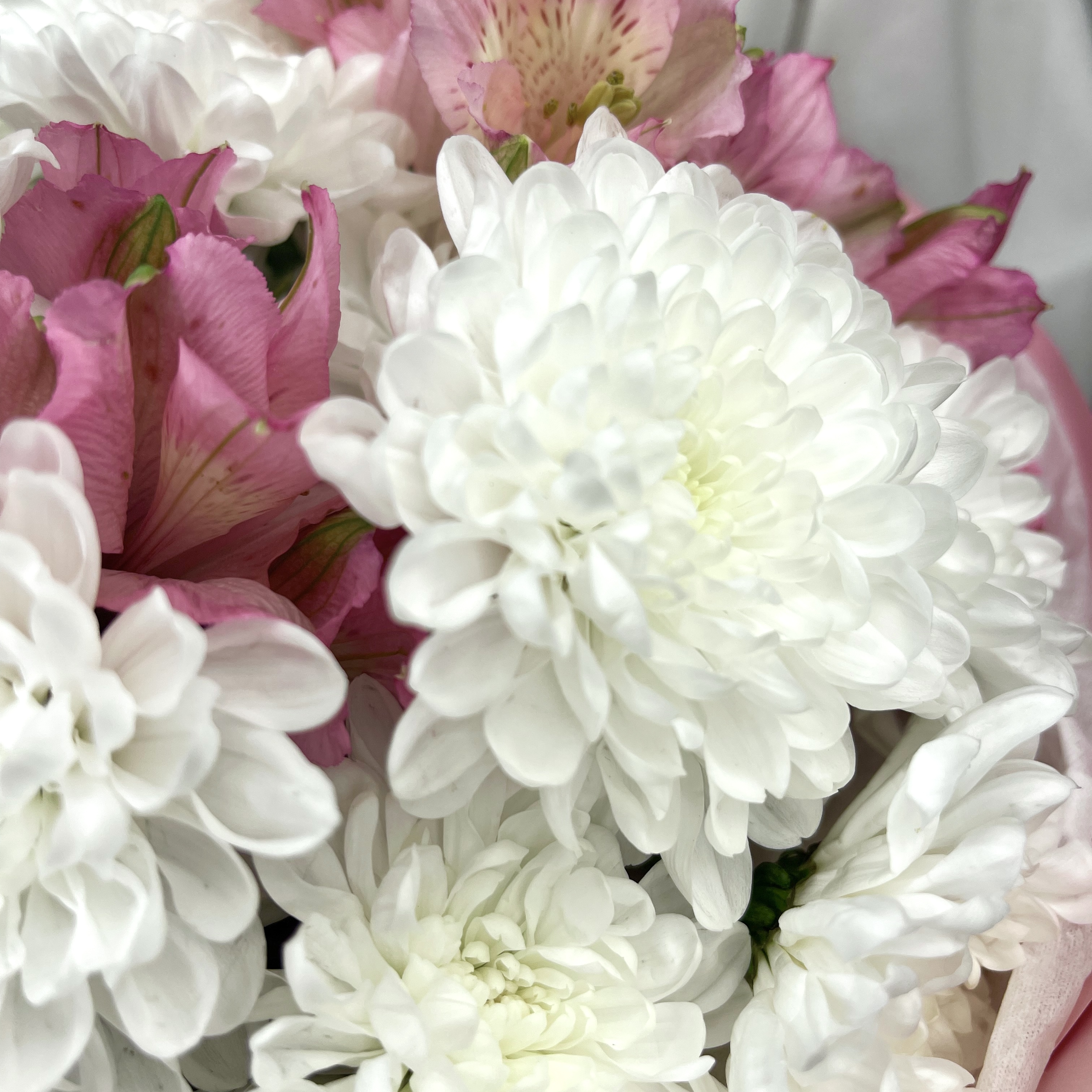 Букет Пандора