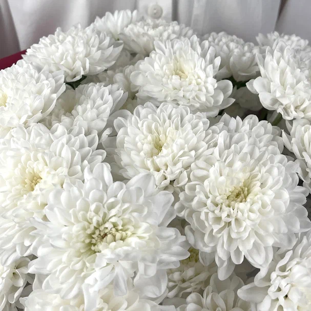 Букет Белое кружево