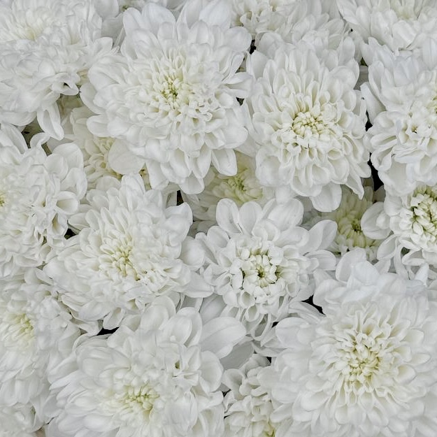 Букет Нежные объятия