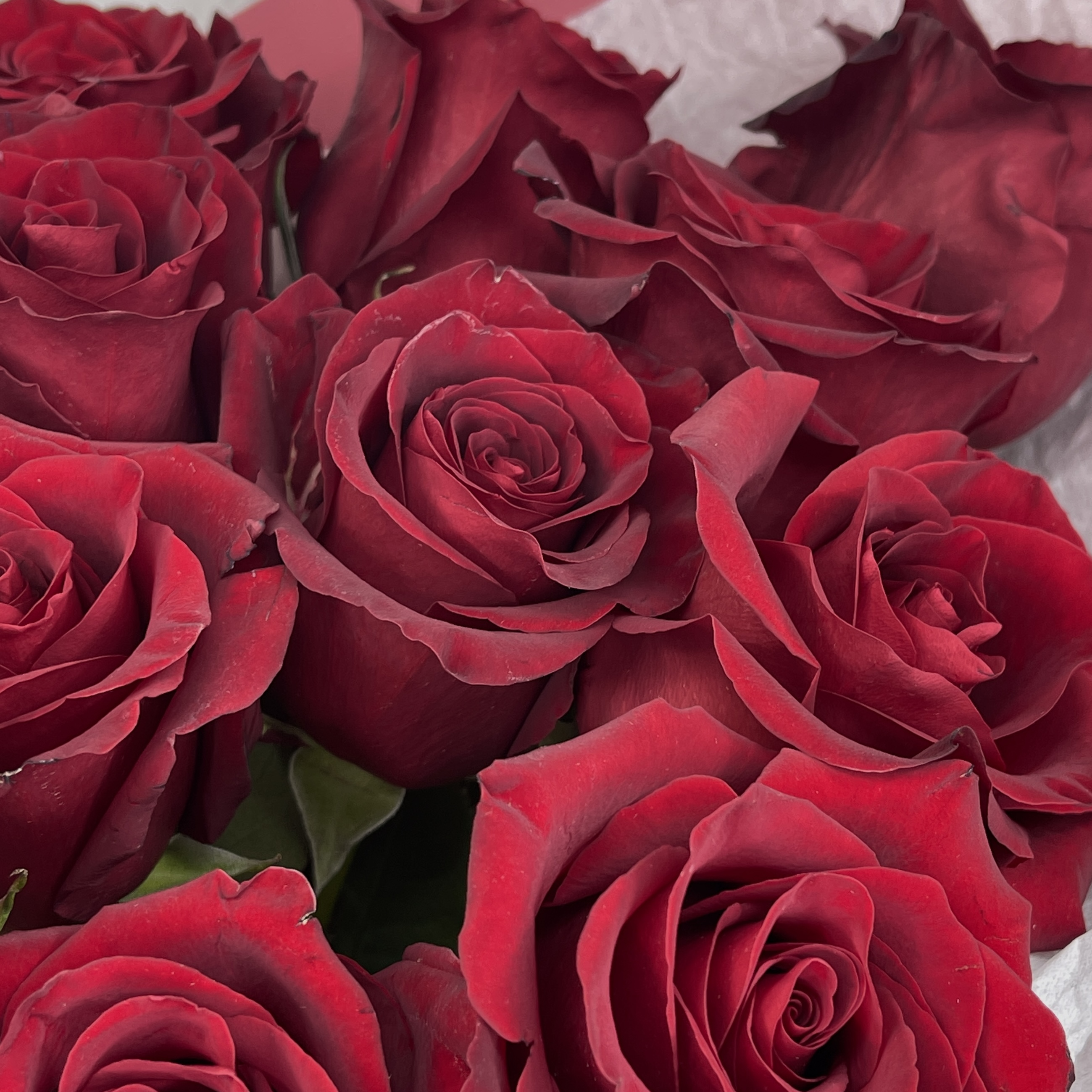 Букет Бордо