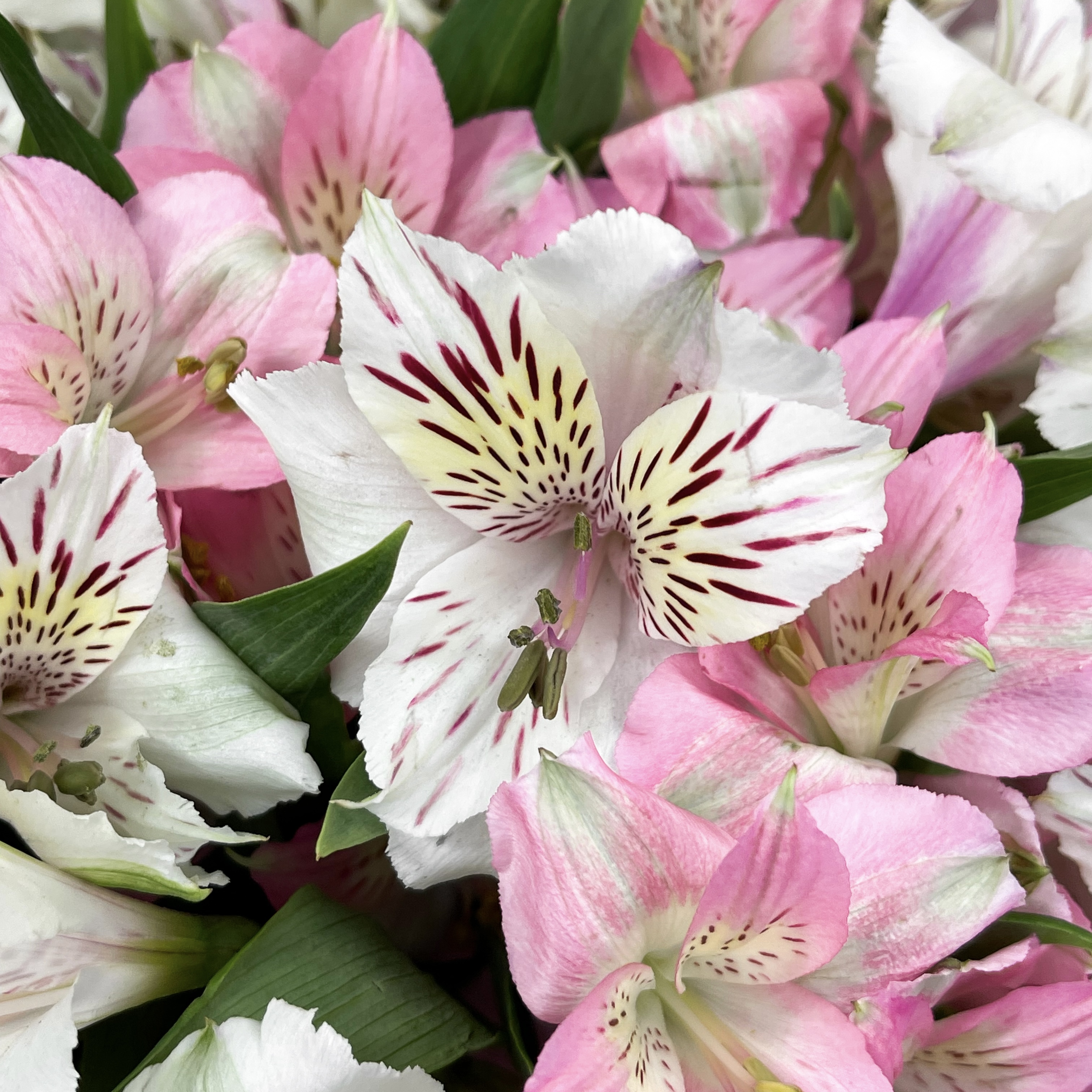 Букет Вестник лета