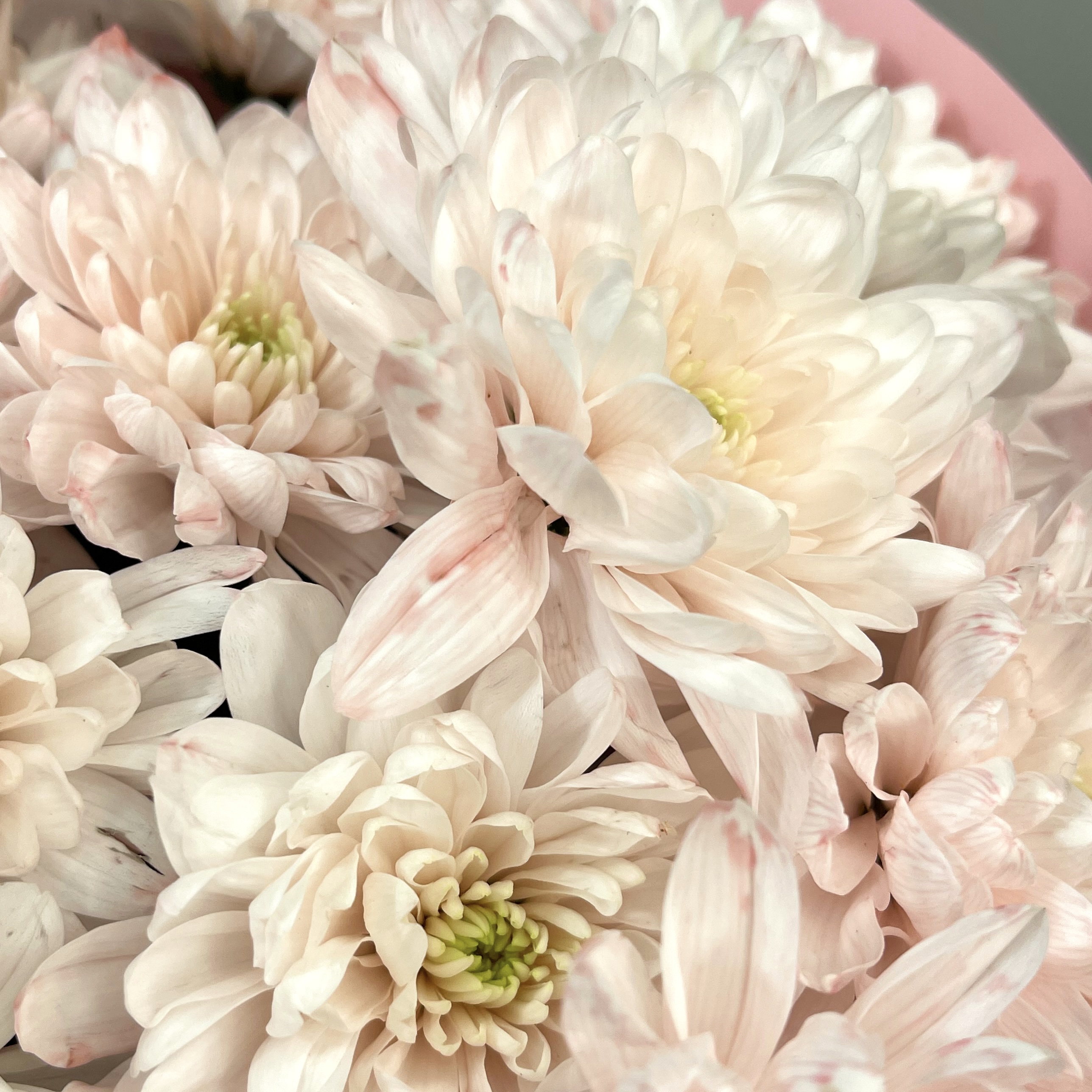 Букет Джульетта S