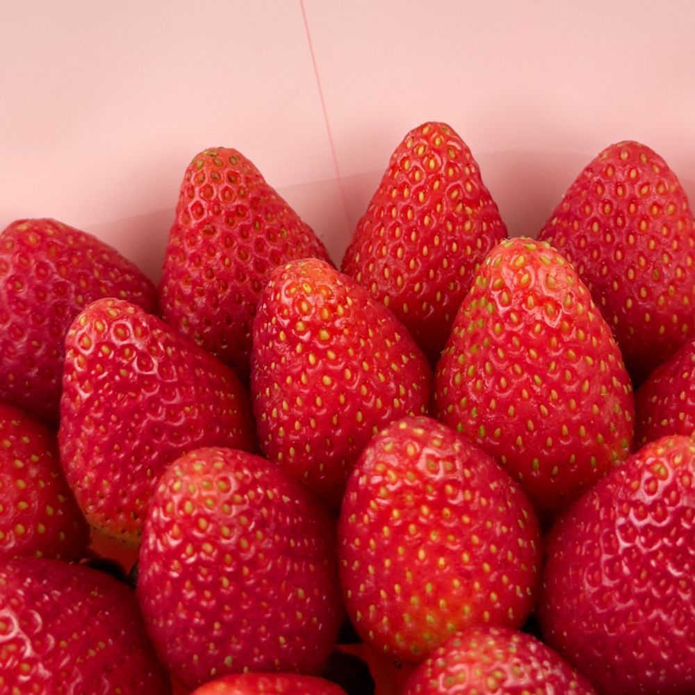 Букет Розовый фламинго