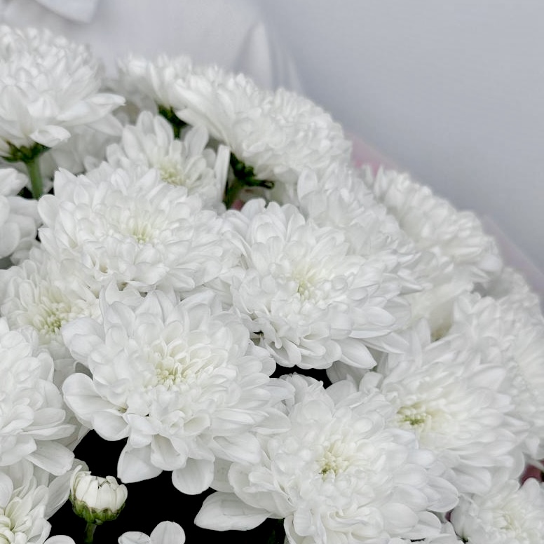 Букет Пудровый штиль