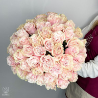 Букет Букет из 51 розовой розы под ленту