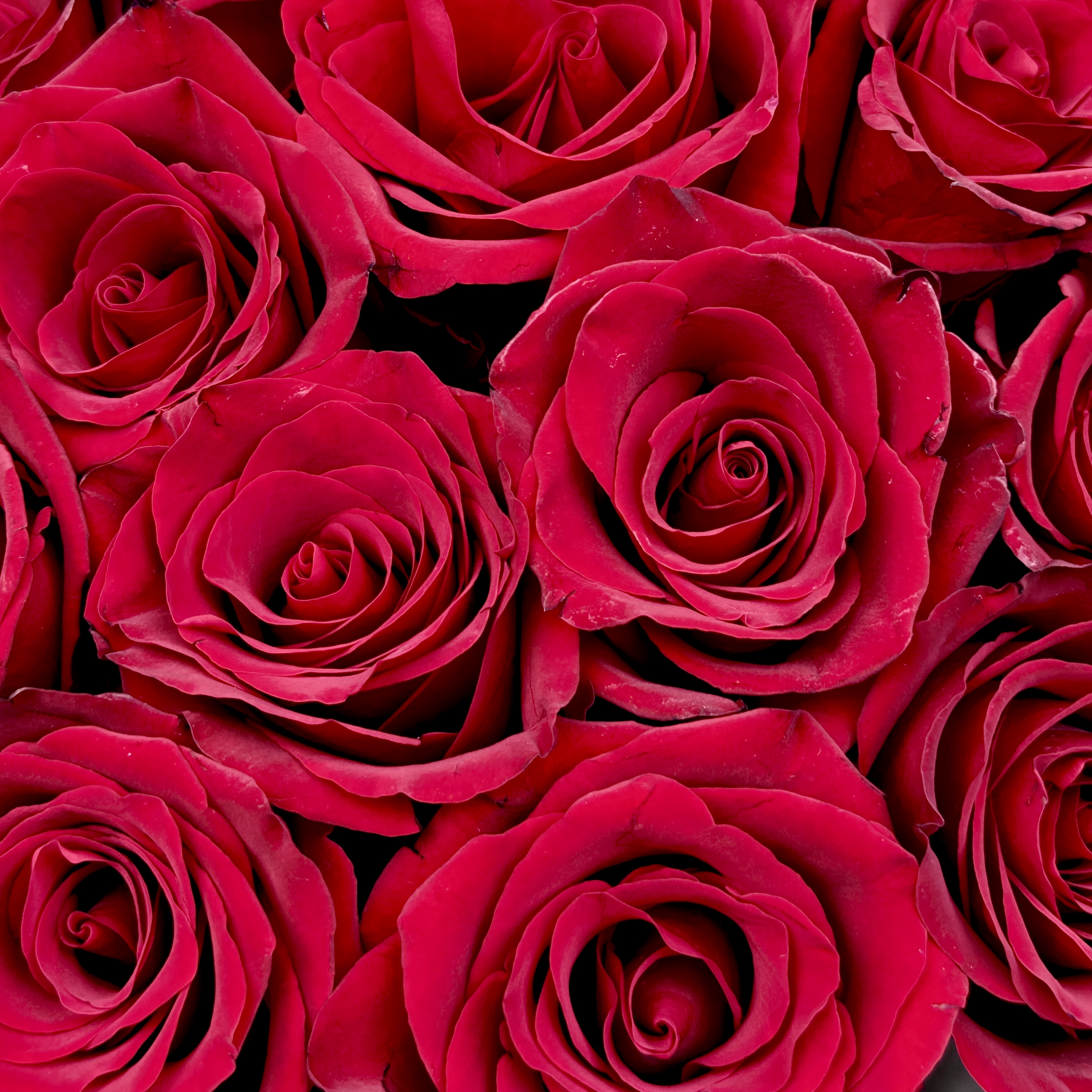 Букет Красный бархат S