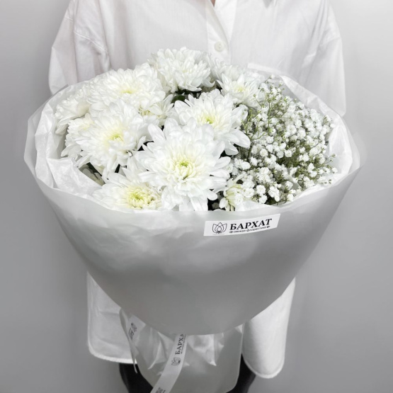 Звездная ночь