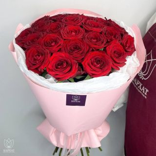 Акция! Бургундия