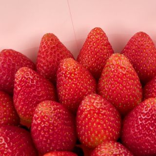 Розовый фламинго