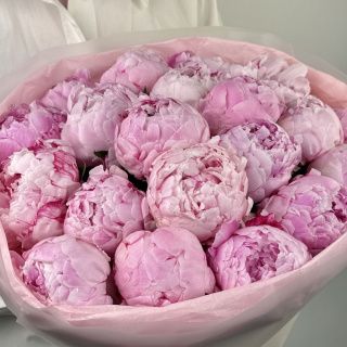 Акция! Розовый бум