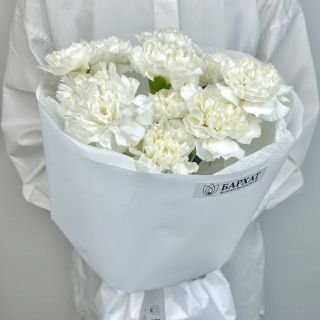 Нежные диантусы