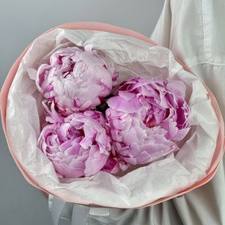 Акция! Пионовый сонет