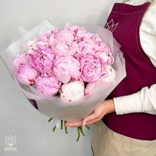 Акция! Подарок Амура