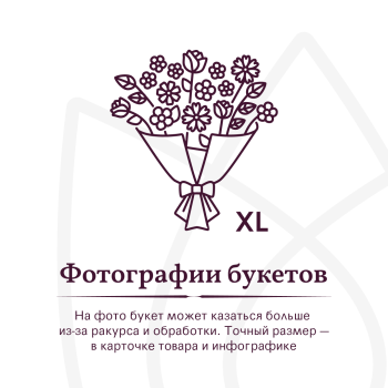 Букет Букет из 101 розовой розы под ленту