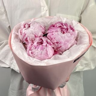 Акция! Пионовый сонет